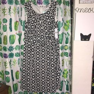 1X Fortune and Ivy Jersey Dress